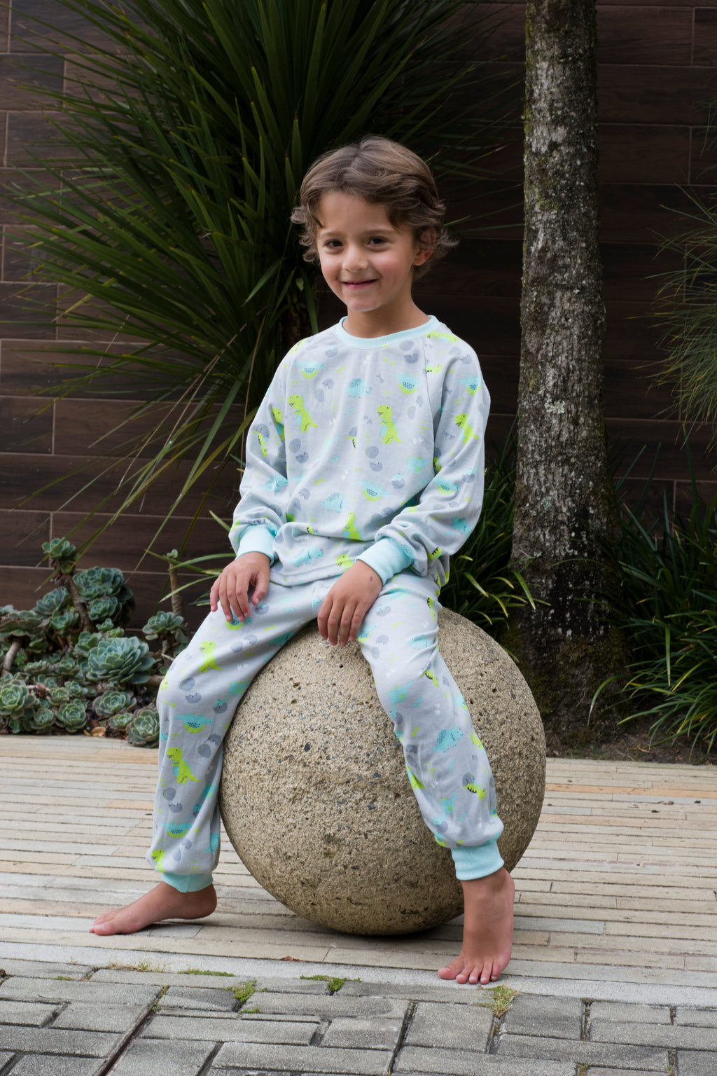 Pijama Robert Dino Bebe Gris