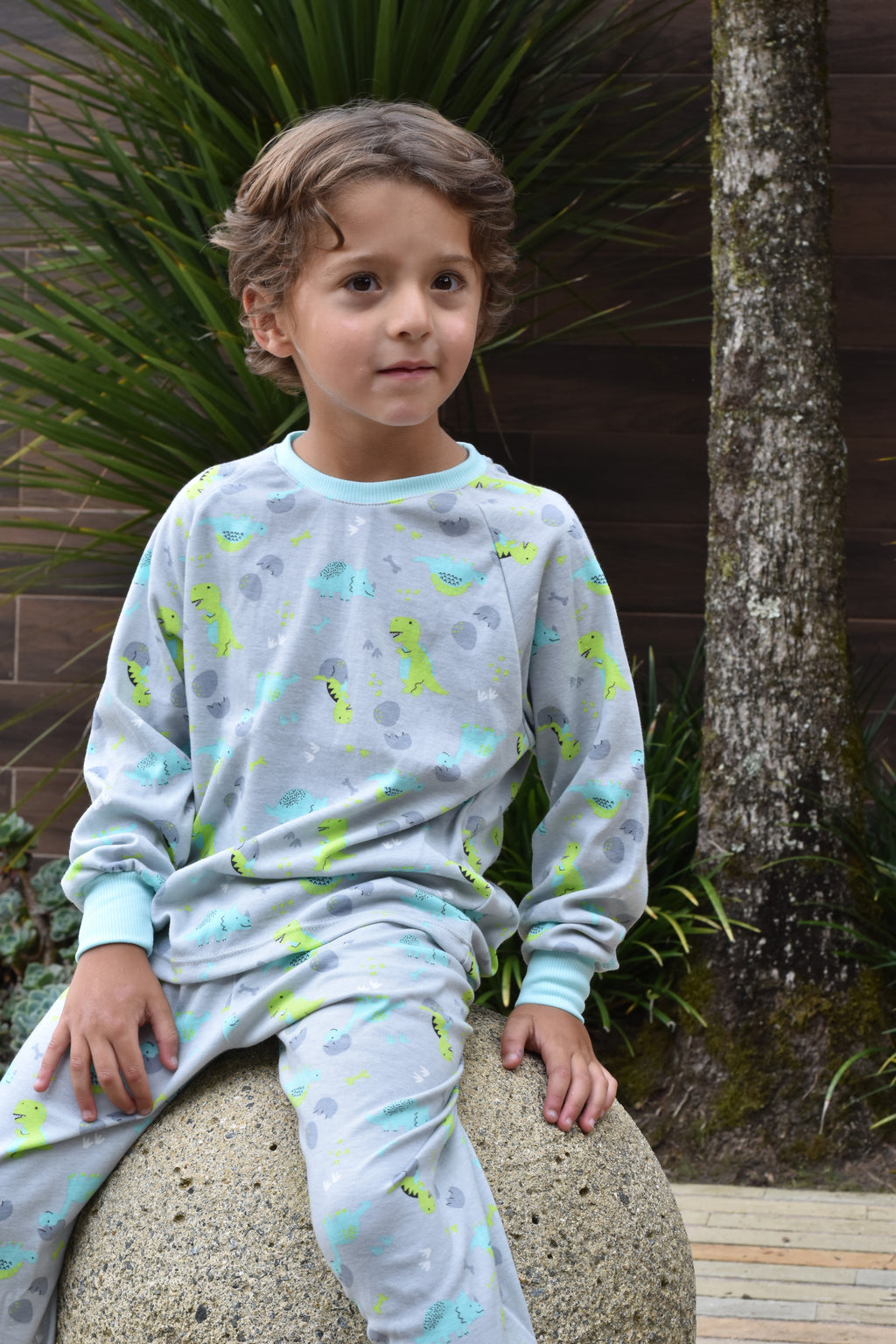 Pijama Robert Dino Bebe Gris